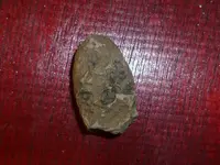P1010131.webp