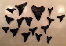 ImageUploadedByTreasureNet.com1421019005.769898.webp