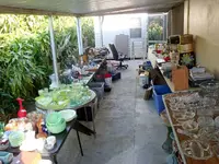 DSC09423.webp