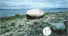 Scan0171.webp Scan0171.webp