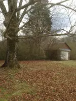 Jan 25 2015 (1).webp