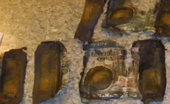 1231AMMO2.webp