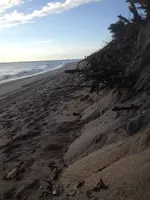 12-13-2014 a.m. @ Ocean Front4.webp