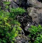 IMG_4287-manel(rock)3.webp