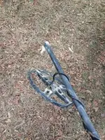 ImageUploadedByTreasureNet.com1420344403.290143.webp