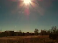 buckle sun.webp
