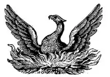 phoenix.webp
