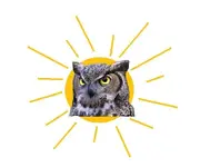 owl and rising sun.webp