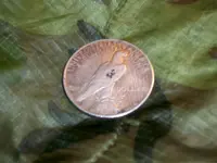 100_0265.webp