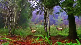 DSCN6462.webp