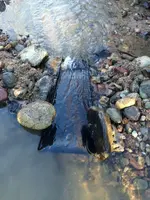 ImageUploadedByTreasureNet.com1421726691.421585.webp
