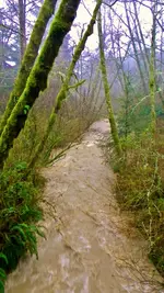 DSCN6483.webp