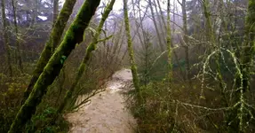 DSCN6496.webp