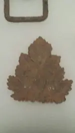 20150119_230918.webp