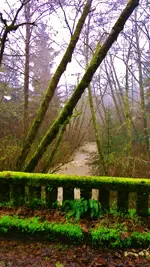 DSCN6509.webp