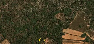 map3.webp