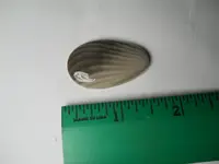 DSCN1633.webp