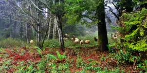DSCN6458.webp