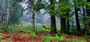 DSCN6461.webp