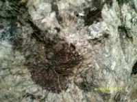 DSCF0668.webp