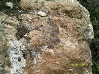 DSCF0671.webp