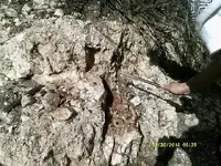 DSCF0688.webp