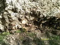 DSCF0699.webp