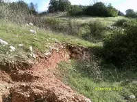 DSCF0702.webp