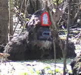 o-TAMPASKUNKAPE-570.webp