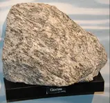gneiss99.webp