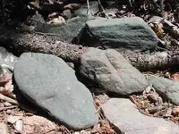 greenstone.webp