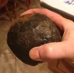 cannonball.webp