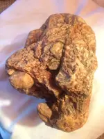 ImageUploadedByTreasureNet.com1421751955.200041.webp