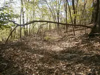 P1010030.webp
