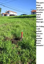 Park Finds 12-27-14 002.webp
