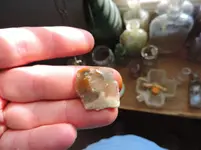 DSCN3115.webp