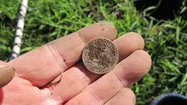 Park Finds 12-27-14 007.webp