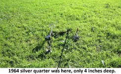 Park Finds 12-27-14 008.webp