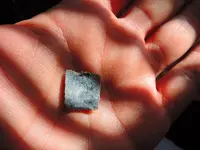 DSCN3118.webp