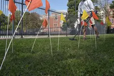 5m x 20m grid.webp