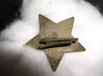 Star b.webp