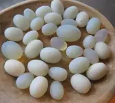 MothersDayGlassEggs300.webp MothersDayGlassEggs300.webp