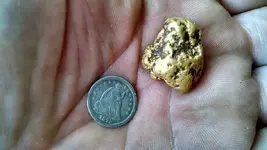 JAN NUG 1.webp