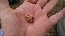JAN NUG 3.webp