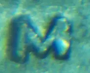 39 double mont  M.webp