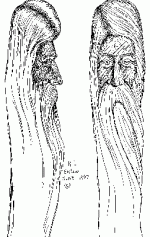 810044_F.jpg