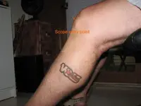 Best Leg.webp