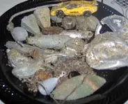 HPIM0428 (Small).webp