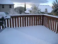 snowww 001.webp