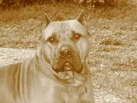 05-25-06 062 herc.webp